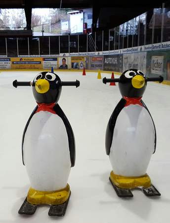Winter-Olympiade im Eisstadion Bad Nauheim