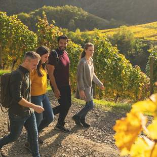 Ahrtal Die kleine Genuss und Wanderregion