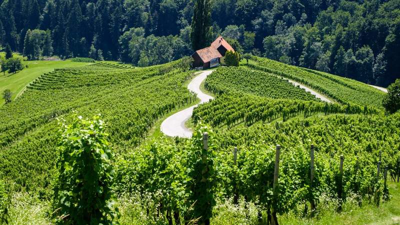 VinoVia WeinWanderreisen