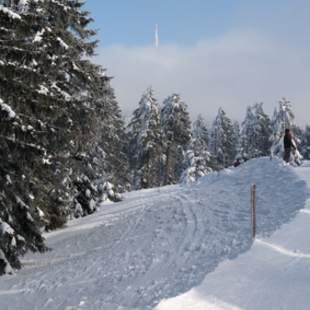 Wanderung durch die winterliche Rhön