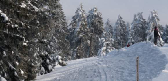 Wanderung durch die winterliche Rhön