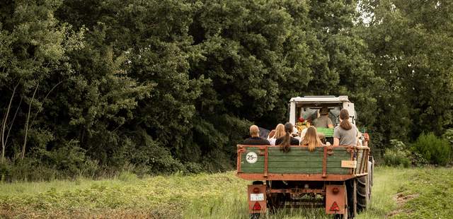 Teambuilding auf dem Bauernhof: Basisernte