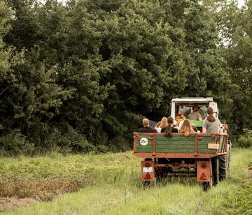 Teambuilding auf dem Bauernhof: Basisernte