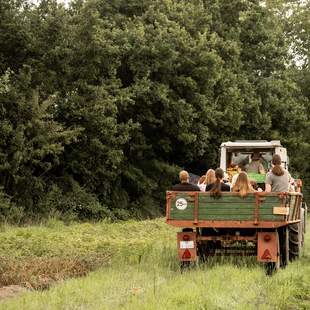 Teambuilding auf dem Bauernhof: Basisernte