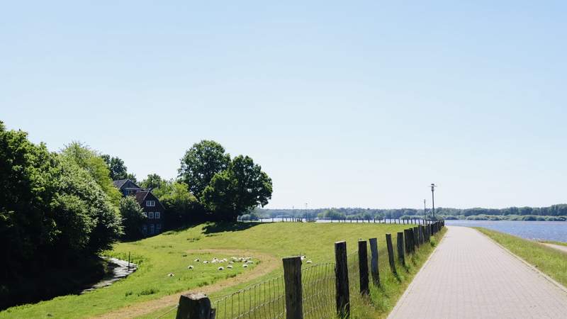 Teambuilding im Grünen - Paket M