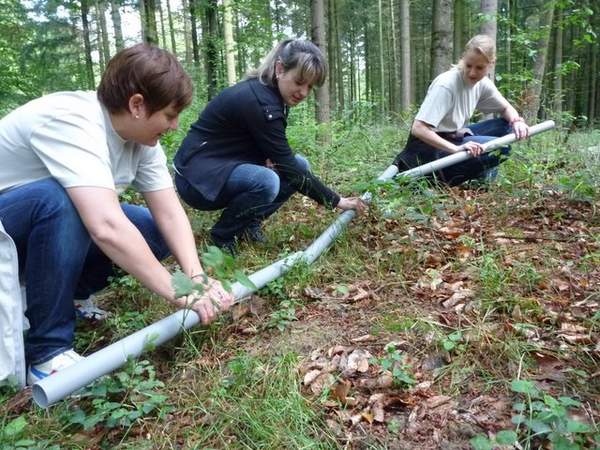 Outdoor Team Parcours am Waldsee
