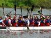 Teamsport Drachenbootfahren, Team-Event, drachenboot, dragon boat, event, drachenbootfahren, drachenbootrennen, rennen, fahren, paddeln, drachenboot-events