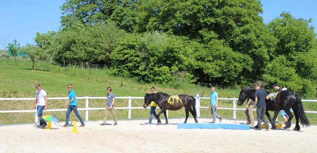 1,5 Tage Teambuilding-Event mit Pferden
