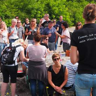 Kraichgauer Winzer-Challenge im Weinberg