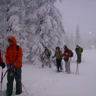 Zipflbob-Schneeschuhtour in Niederbayern