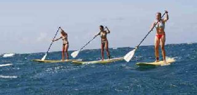 Incentive Marbella – Sport, Luxus