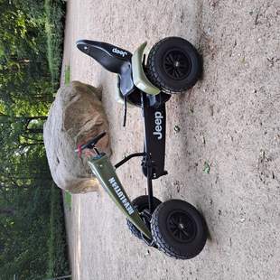 Pedal GoKart Tour Hamburg