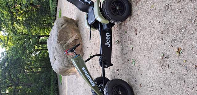 Pedal GoKart Tour Hamburg