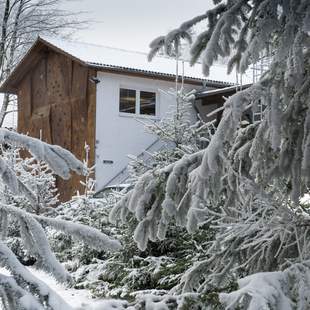 Winterzauber im Waldhof