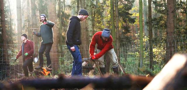 Dein Waldprojekt