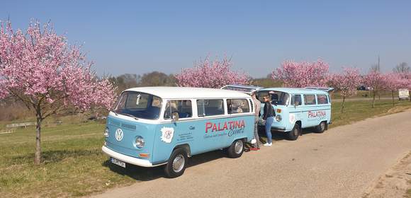 Verborgene Orte mit dem Oldtimerbus erkunden