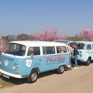 Verborgene Orte mit dem Oldtimerbus erkunden