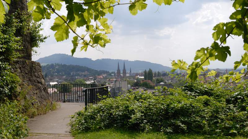 Freiburg & Breisgau: Roller- und Bergerlebnis