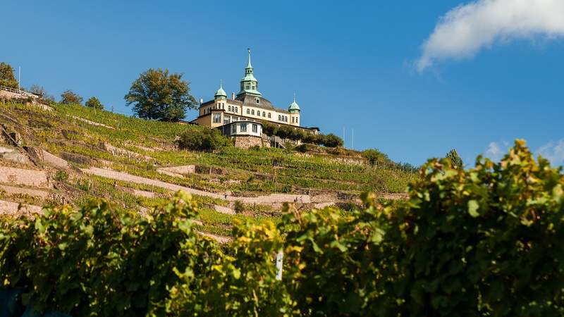 Wintererlebnis im Team um Radebeul