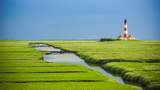 Betriebsausflug nach Nordfriesland und den Halligen