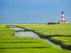 Betriebsausflug nach Nordfriesland und den Halligen