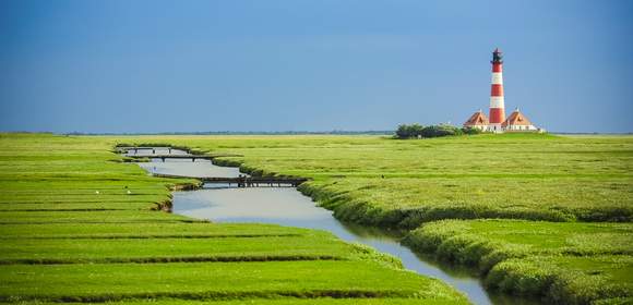 Betriebsausflug nach Nordfriesland und den Halligen