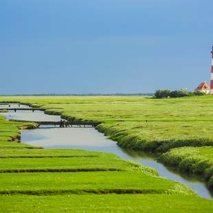 Betriebsausflug nach Nordfriesland und den Halligen